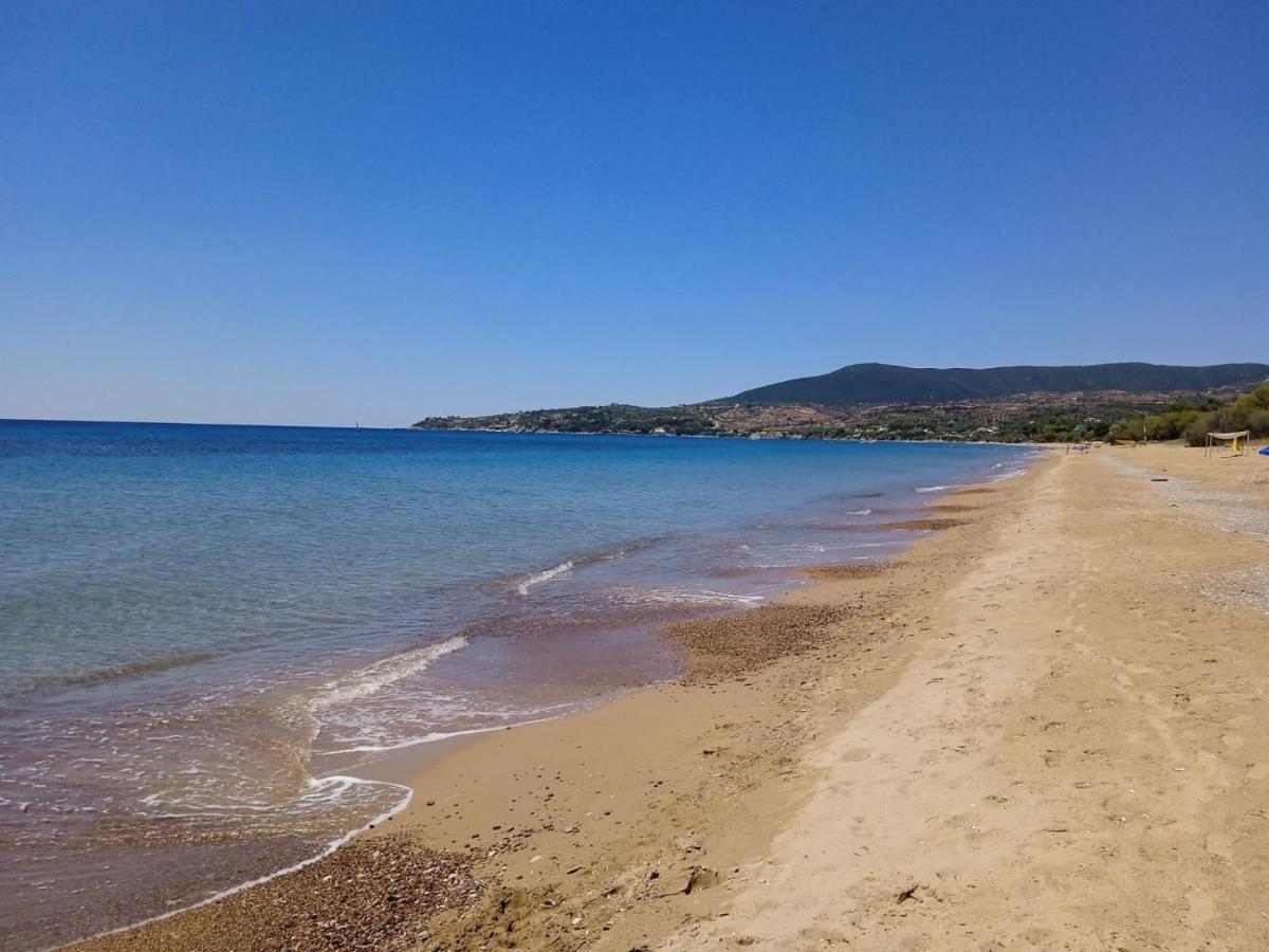 Koroni Stone House, Newly Built Studios By The Sea Exterior foto